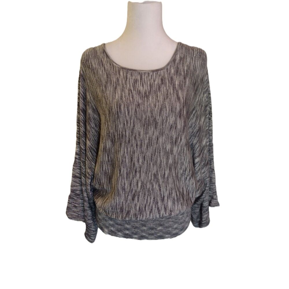 Chicos Size 2 Womens L Gray Metallic Space Dye Dolman Sleeve Blouse Top Sweater